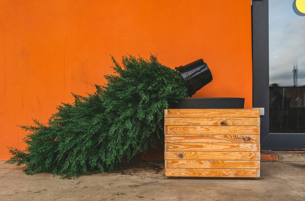 Tree Collar Stand: The Sleek, Pet-Safe Secret to a Stunning Christmas Tree Base