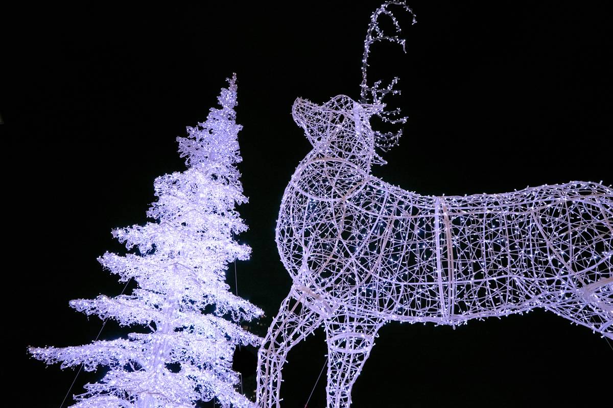 Why Your Lighted Reindeer Family Is Failing (and How to Fix It Before Christmas Eve)